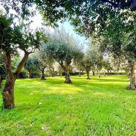 Il Giardino Di Athena