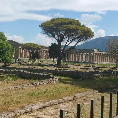 Il Giardino Di Athena *
