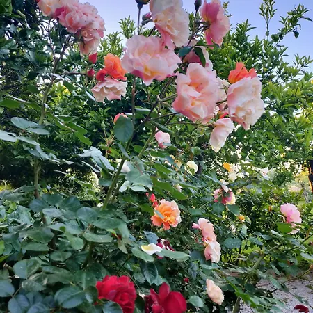 Vakantiehuis Il Giardino Di Athena *
